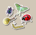 Bugs Crafty Sticker Pack