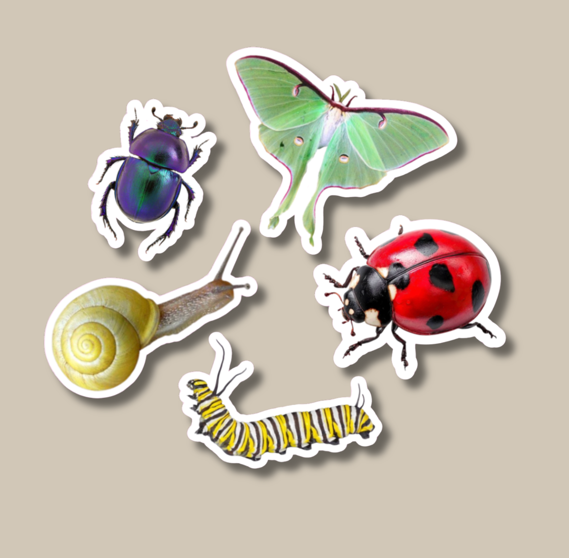 Bugs Crafty Sticker Pack